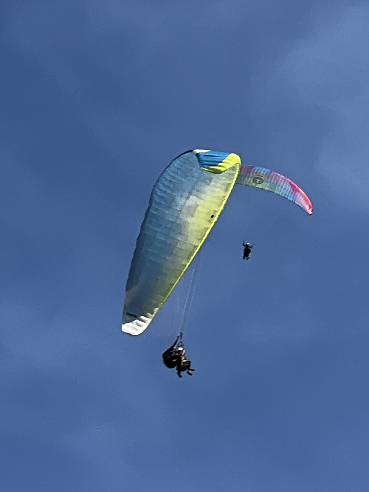 IMG_2910